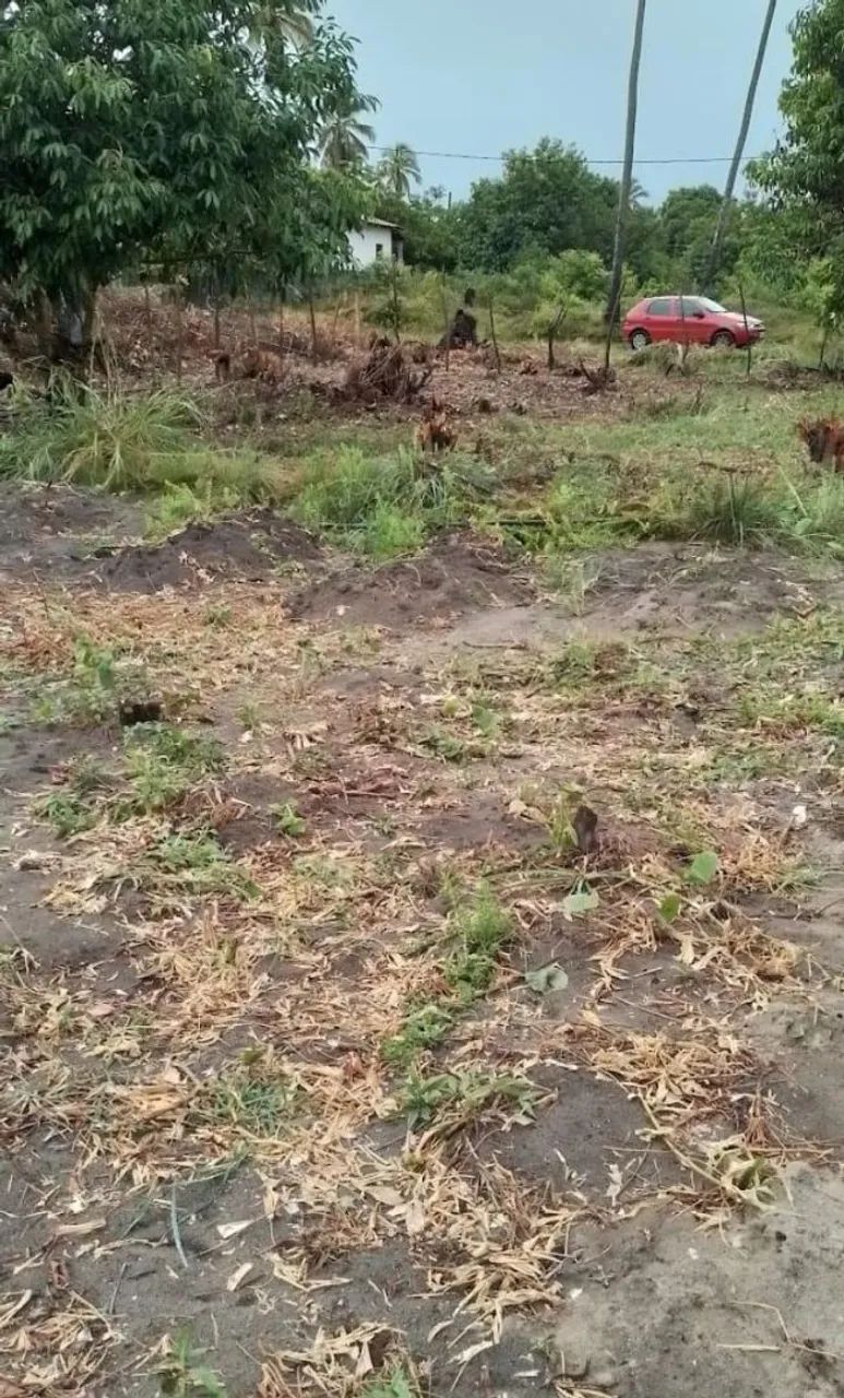 Oportunidade de Terreno em Lucena  - Foto 3