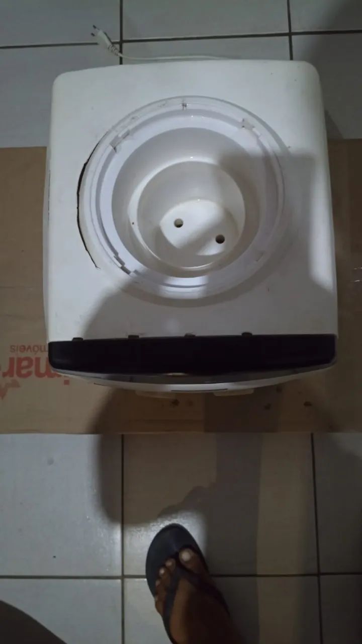 Gelagua agratto 