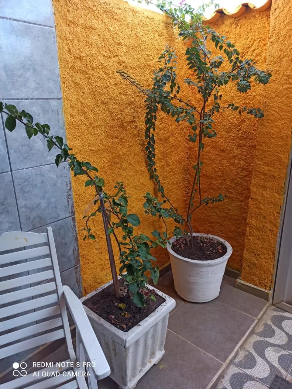 Venda de Casa e Apartamento em Barra Grande - Maragogi  - Foto 3