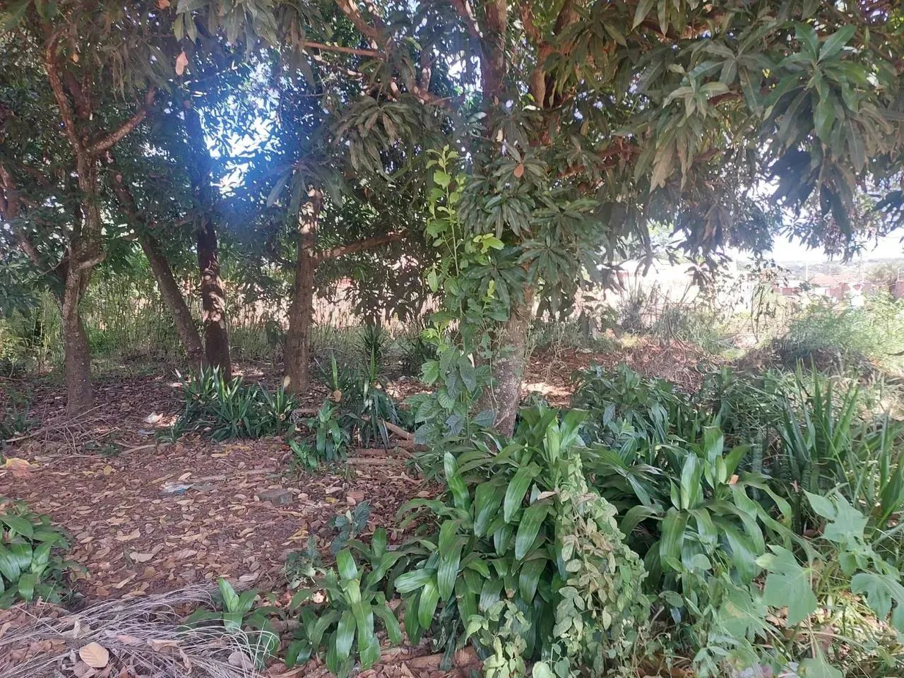 vendo lote vazio próximo ao CIOPS Santo Antônio Descoberto