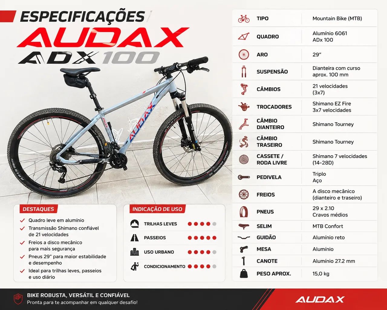Bike Audax aro 29