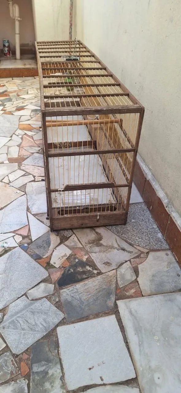 Gaiola pra coleiro 