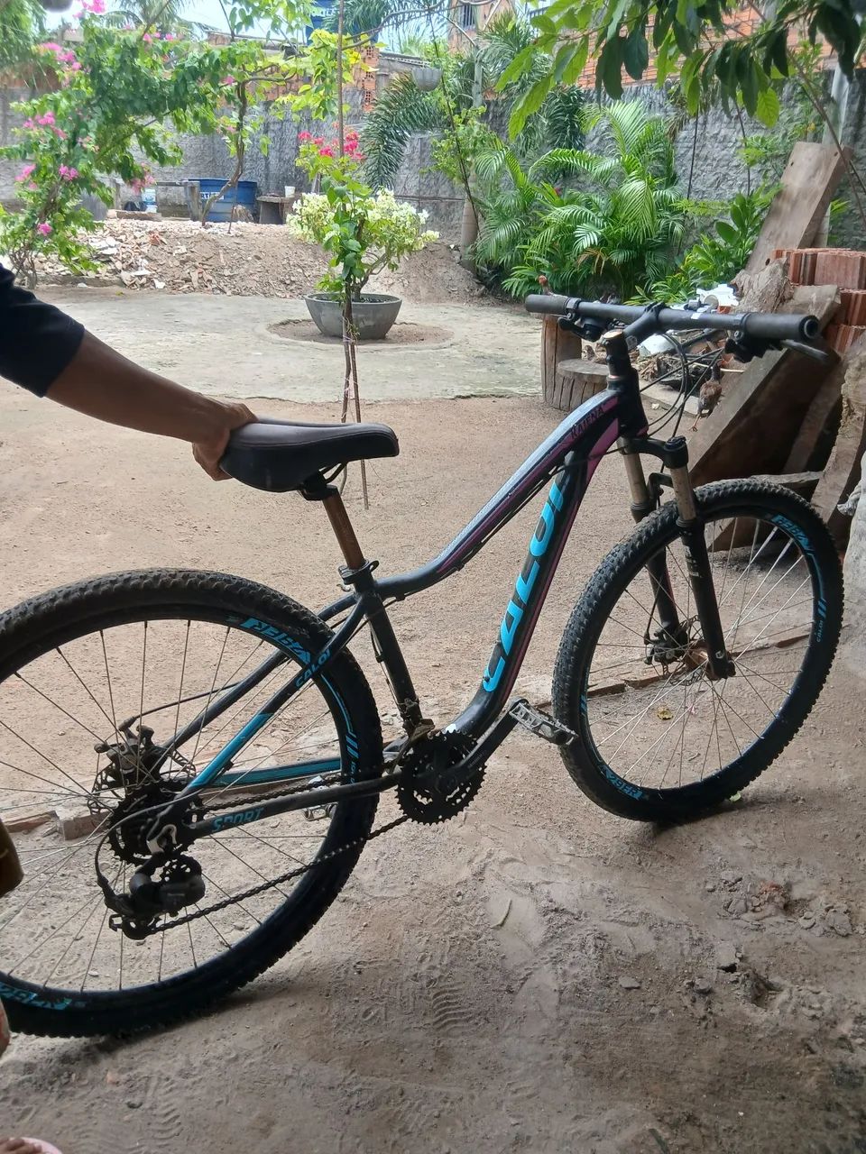Bicicleta esportiva