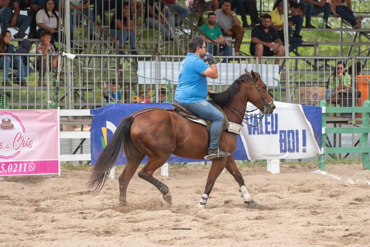Égua de Direita - Foto 2