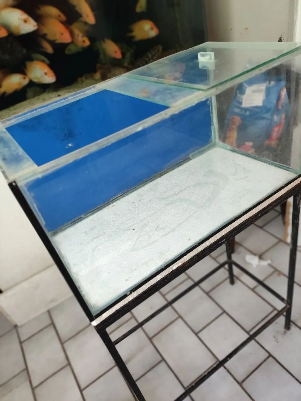 Aquário  - Foto 4