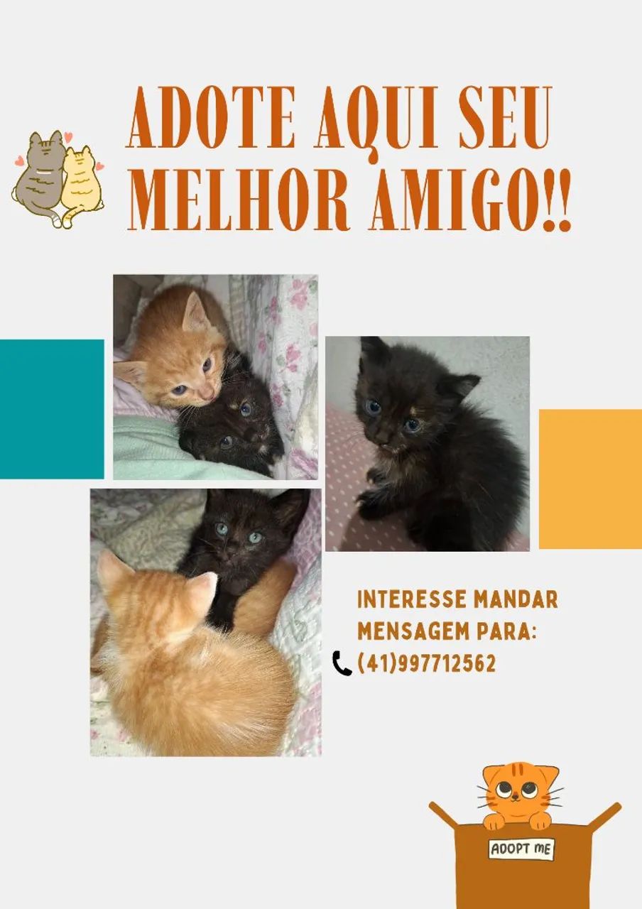 Adote