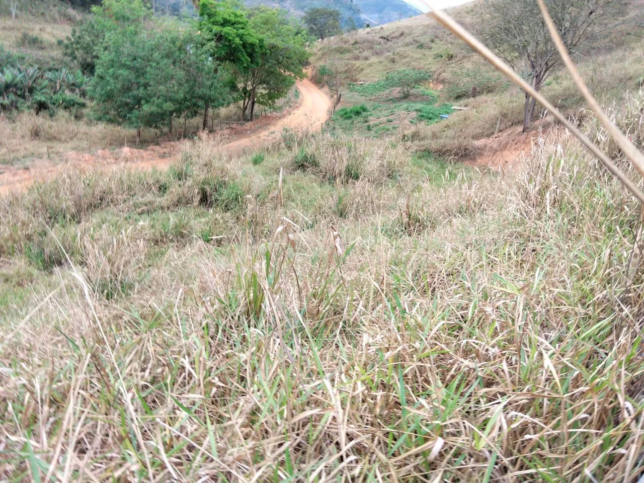 Vendo área para chácara  - Foto 2