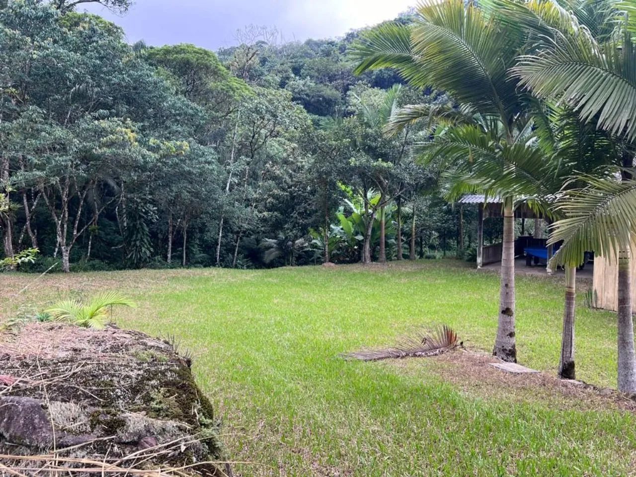 Chácara | Venda | Margem Esquerda - Foto 4