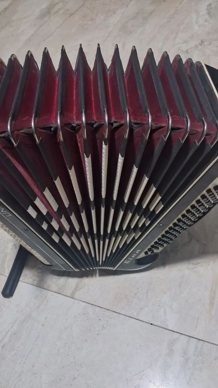 ACORDEON - Foto 2