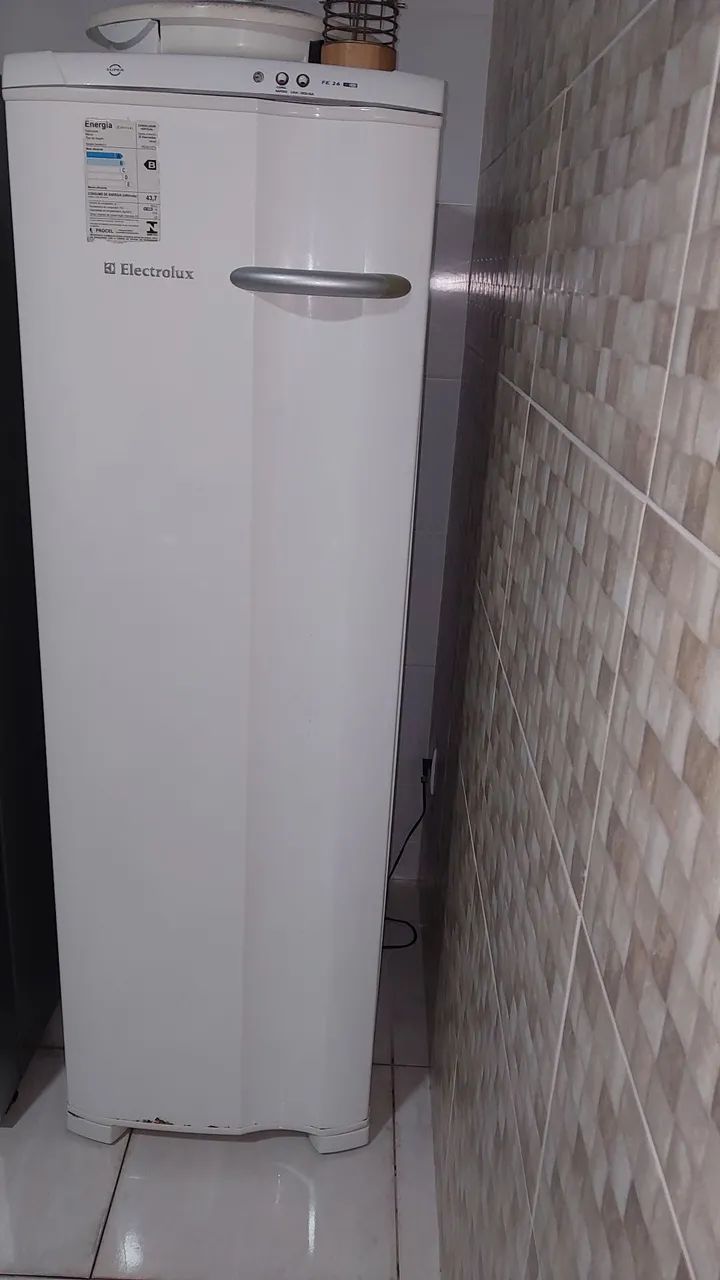 Freezer Electrolux RE 26