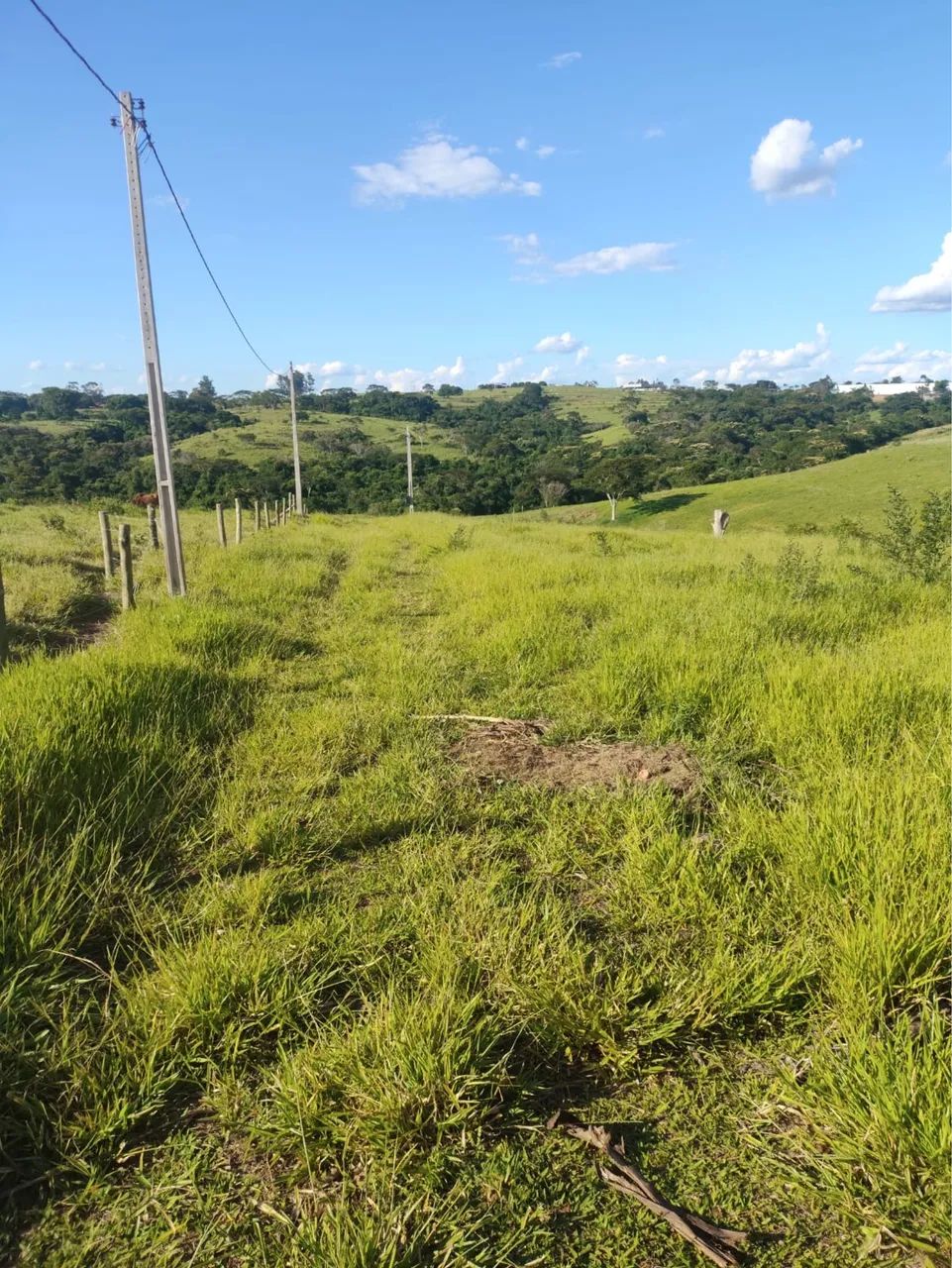 Terreno rural 1000m2 sítio espigão - Foto 5