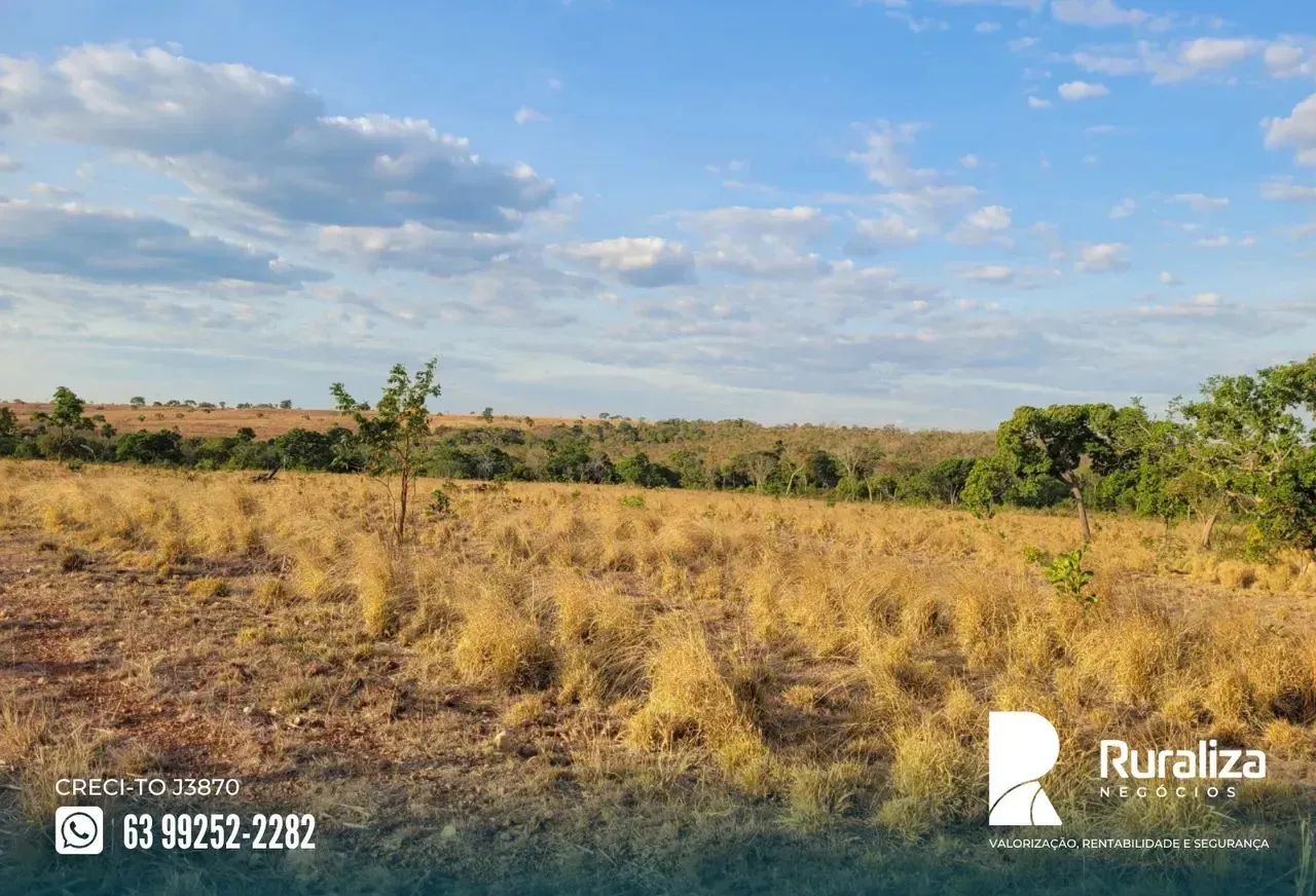 Fazenda em Pium - TO - Foto 5