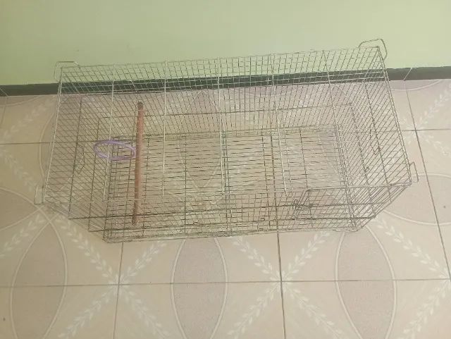 Gaiola criadeira  - Foto 5