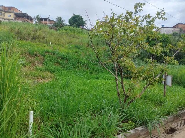 Vendo ou troco Terreno com 350m² - Foto 5