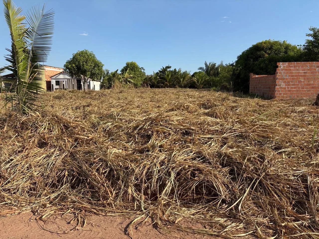 Mine chácara - Canaã dos Carajás - Foto 4