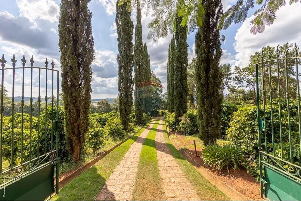 Sitio com 20.000 pés de café a venda - 4,9Ha, Morungaba/SP - Foto 2