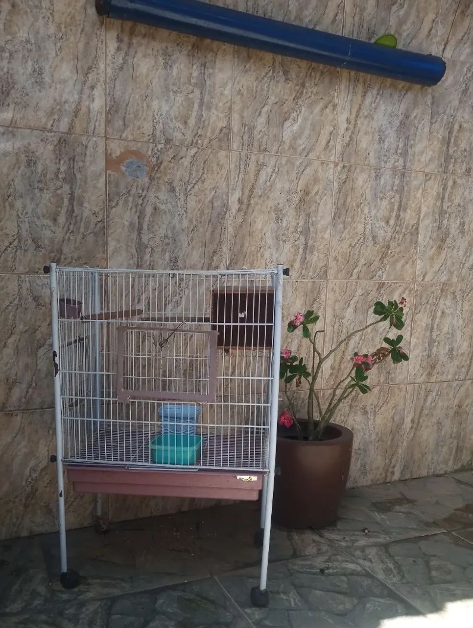 Gaiola grande - Foto 3