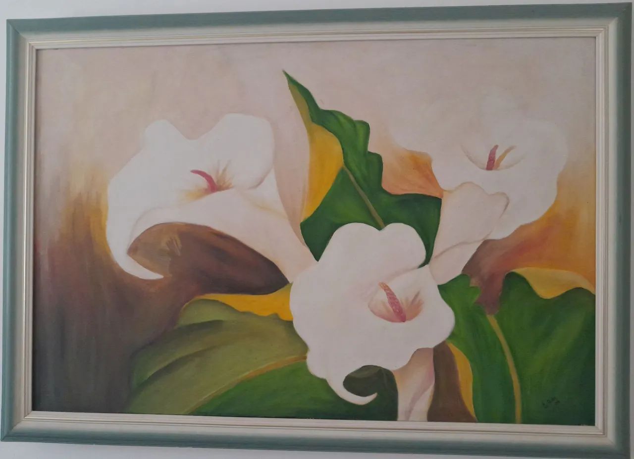 Quadros  - Foto 5