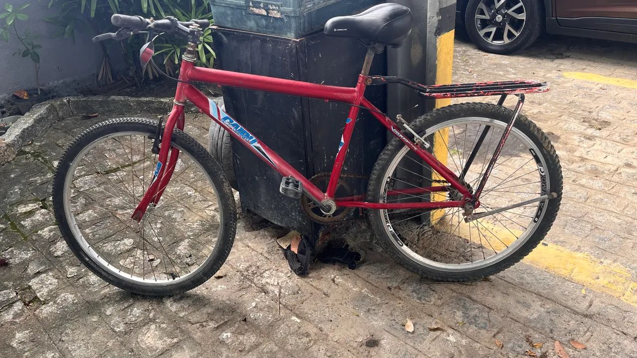 Bicicleta