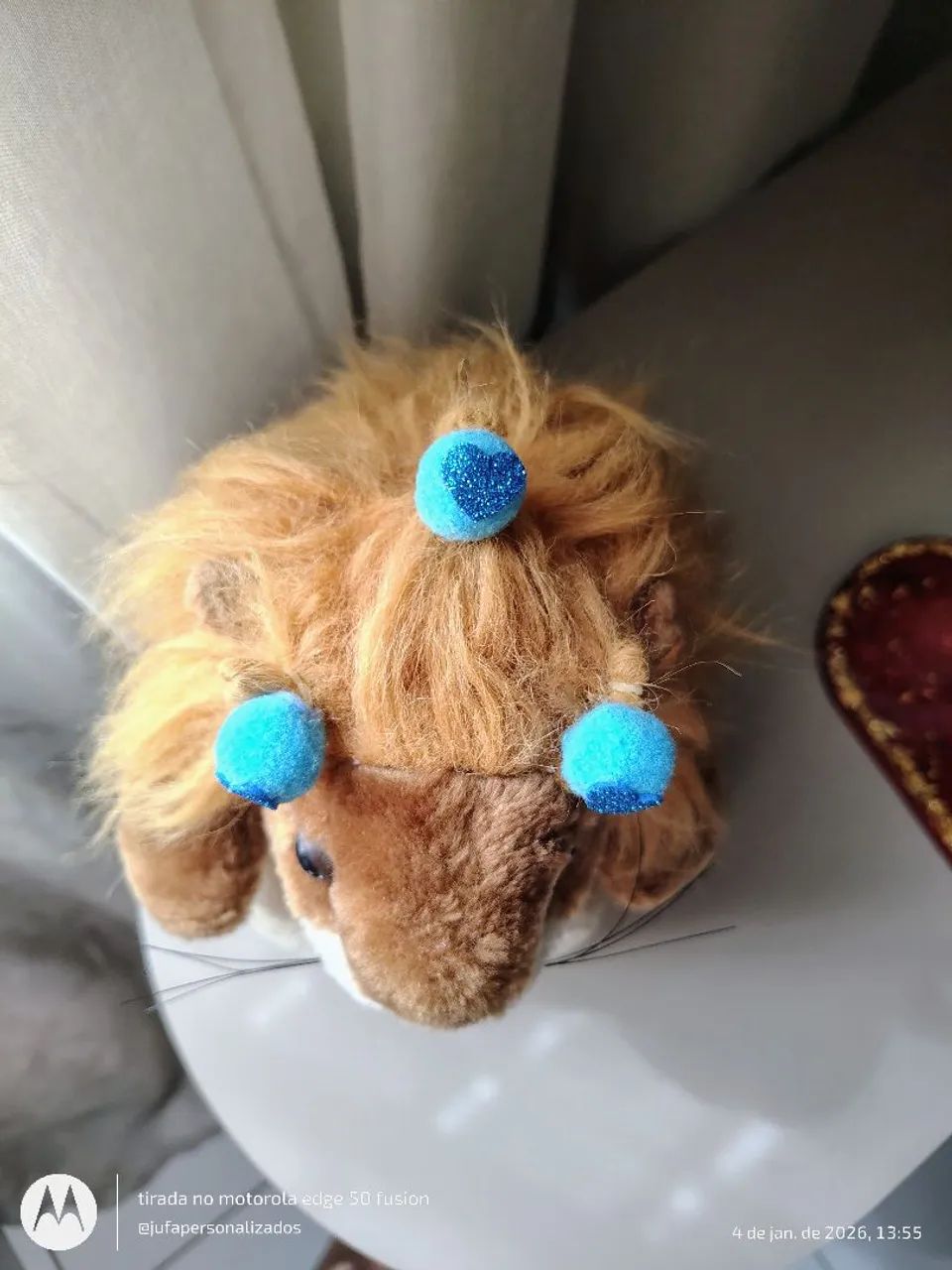 Pompom Pet 64993720915841122