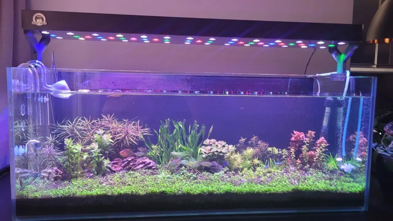 Luminária YasiLight AquaPlanted  - Foto 4