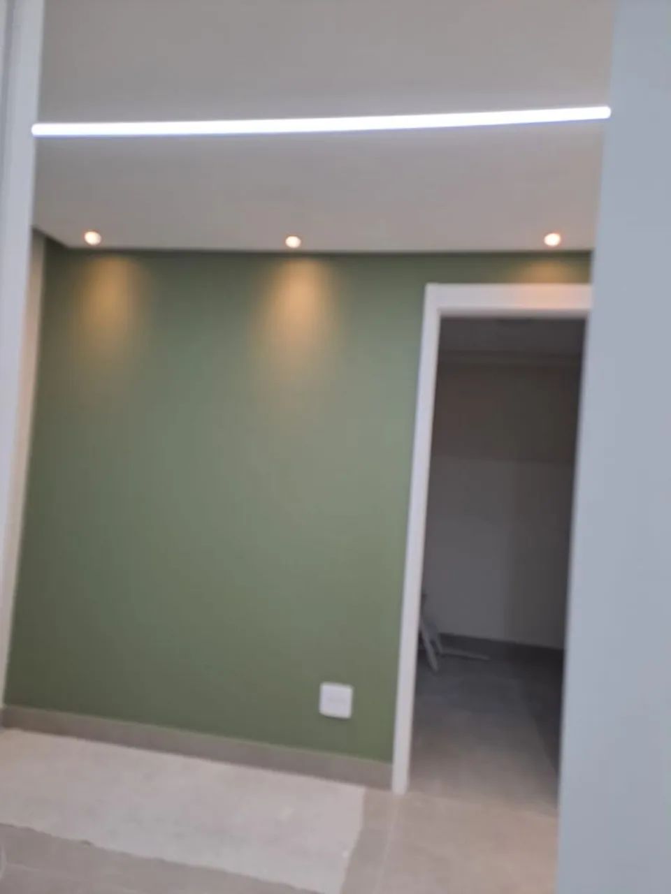 Pintor profissional 