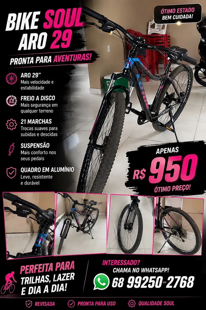 Bicicleta lótus soul aro 29 