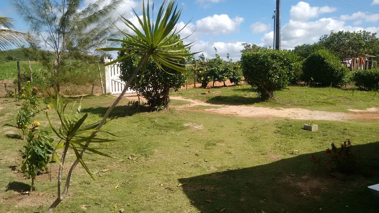 Sítio 3 poderes povoado salobra Simão Dias Sergipe. - Foto 5