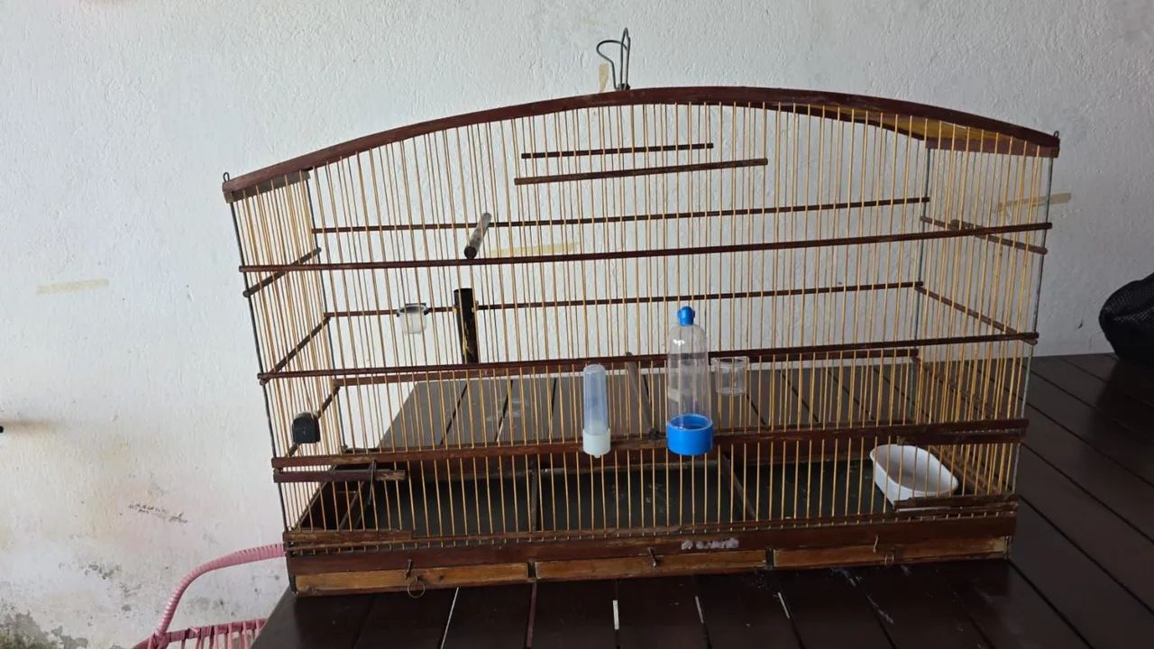Gaiola