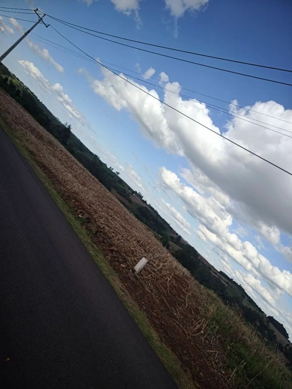 Chacara um alqueire e meio  - Foto 3