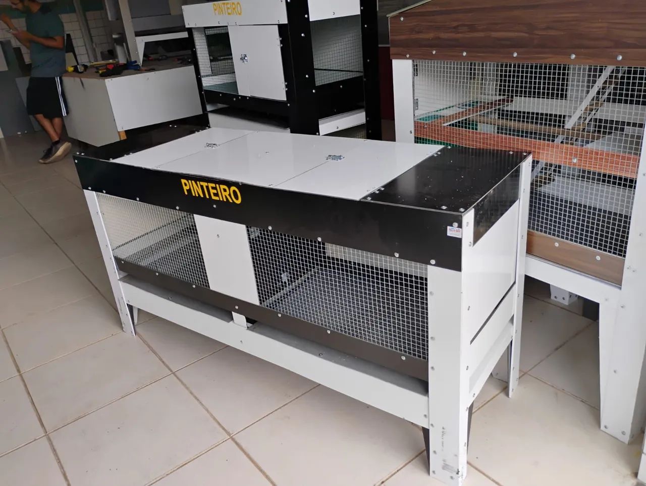 Pinteiro - Foto 6