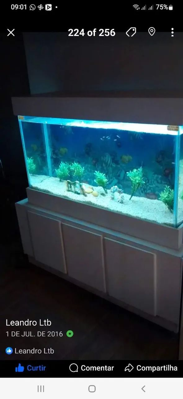 AQUÁRIO  - Foto 3