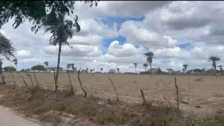 Lotes 500m e Mil metros Garanhuns PERNAMBUCO - Foto 3