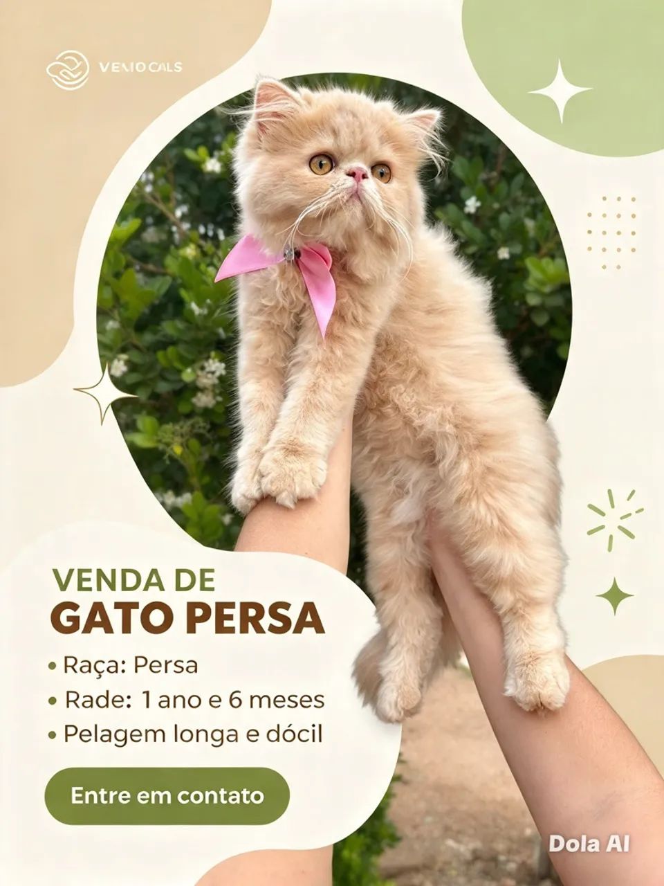 Gata persa - Foto 2
