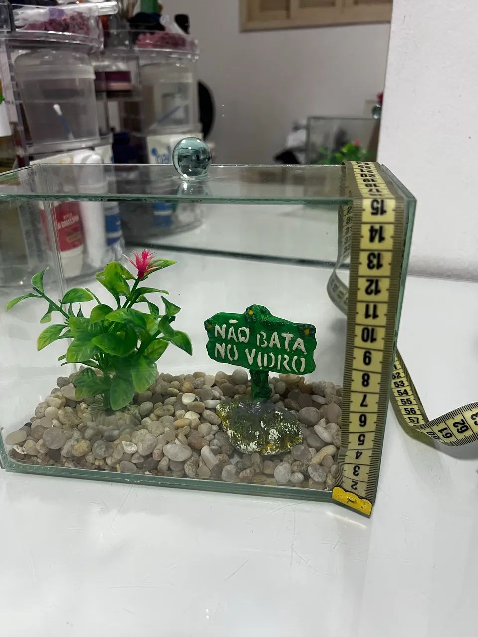 Aquário com decoração  - Foto 2