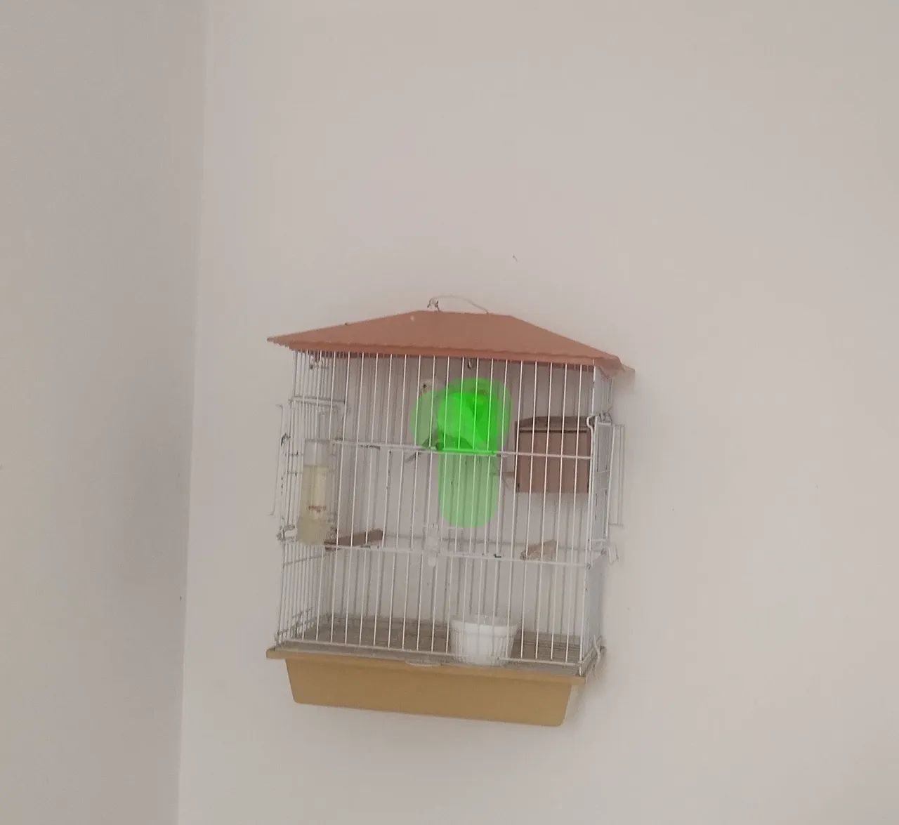 Gaiolas