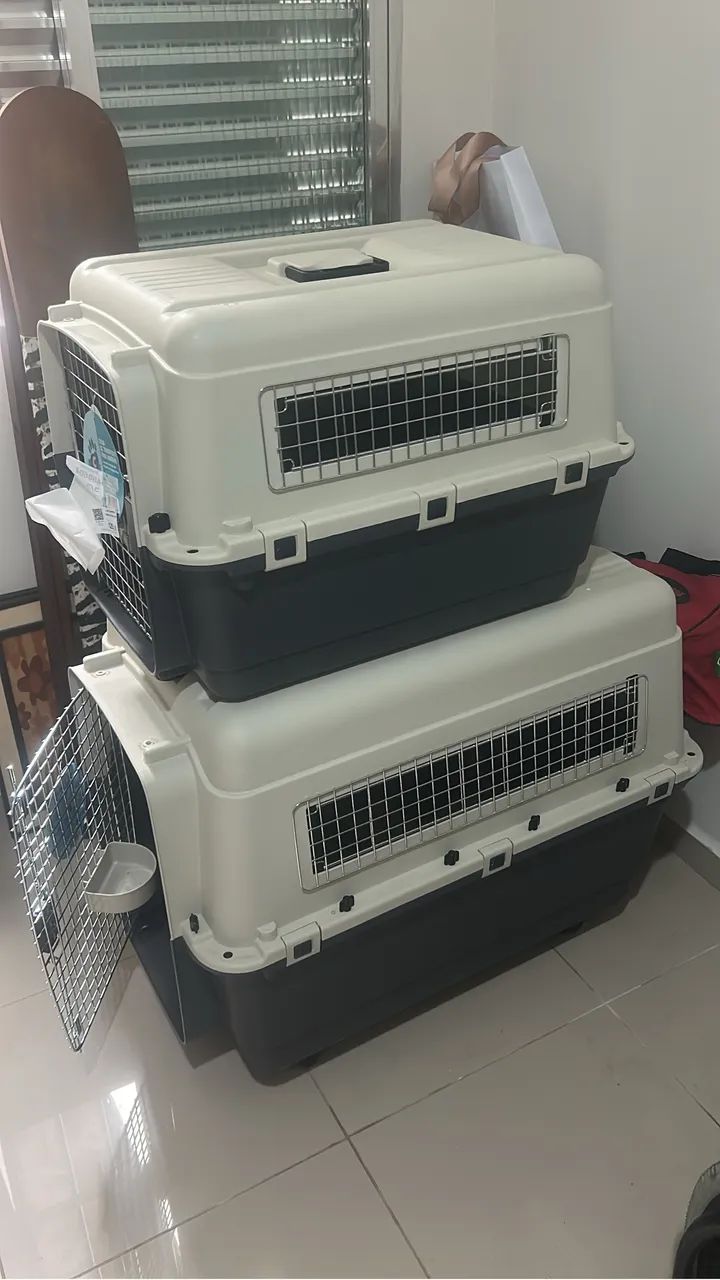 Caixa Para Pet - Foto 2