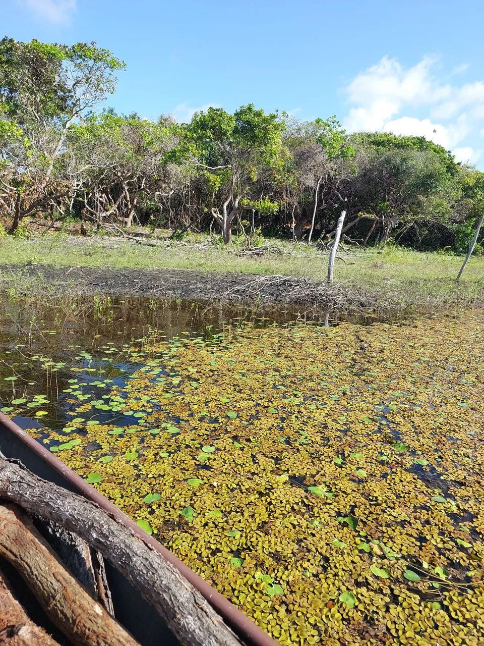 Vendo ou troco terreno em Santo Amaro - Foto 3