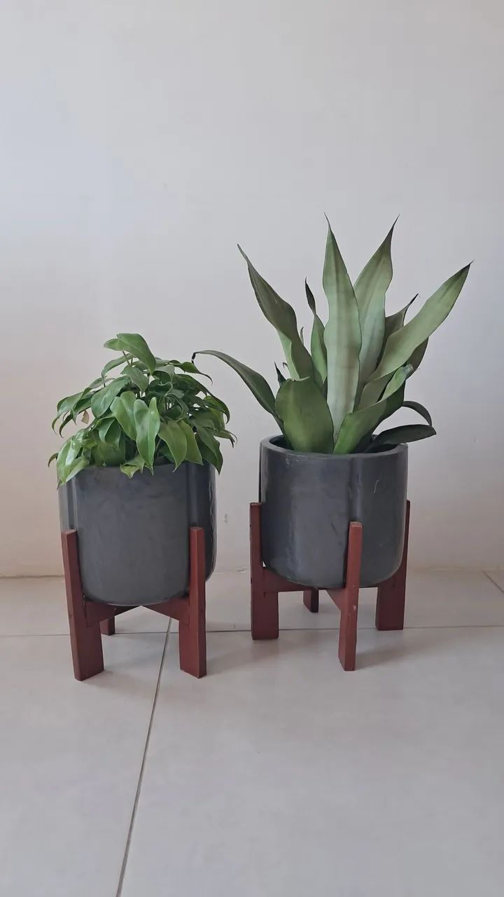 Vaso com planta R$50 cada