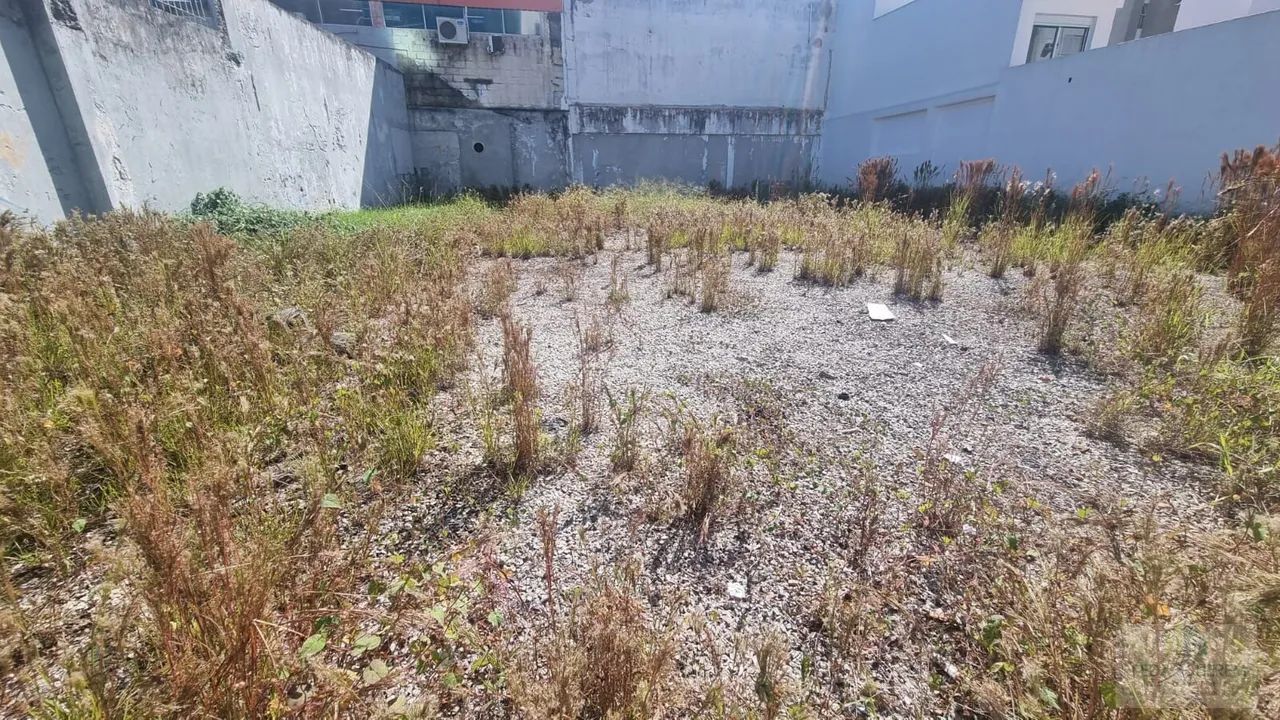 Terreno à Venda na Trindade - Florianópolis SC. - Foto 5