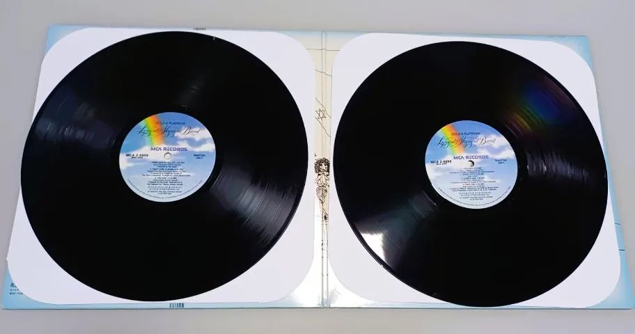 Lp Duplo Lynyrd Skynyrd Gold & Platinum (importado) - Foto 3