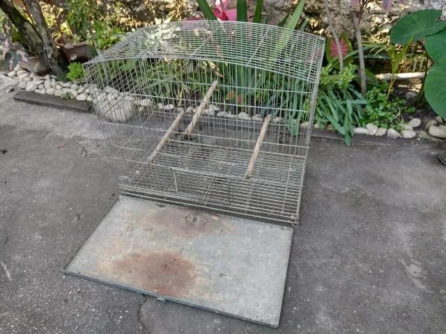 Gaiola para Pássaros (Diversos) - Foto 2