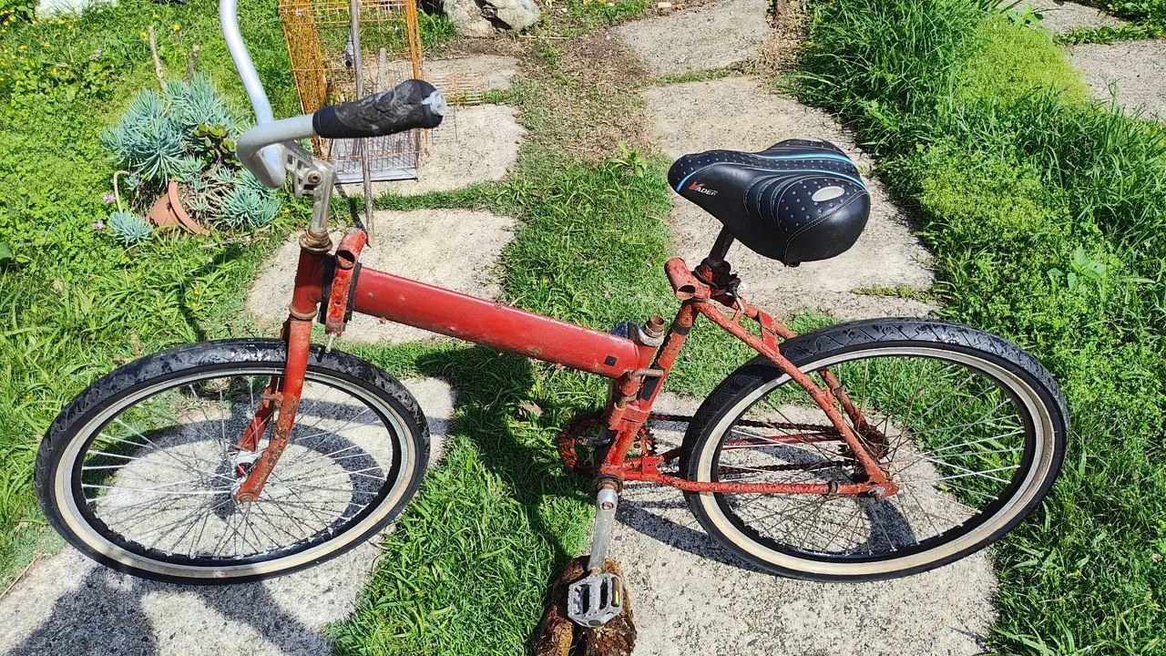 vendo bicicleta maria - mole - Foto 3
