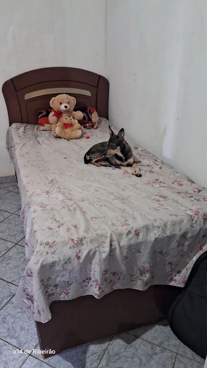 ? CAMA DE SOLTEIRO EM ÓTIMO ESTADO - OPORTUNIDADE! - Foto 2