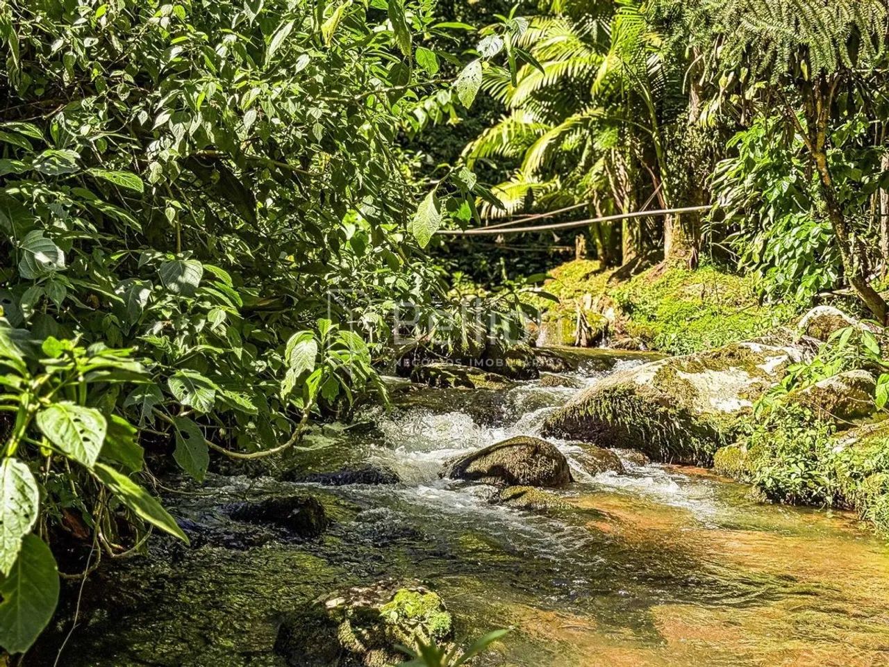 Sítio com lago e riacho em Rio dos Cedros - Foto 4