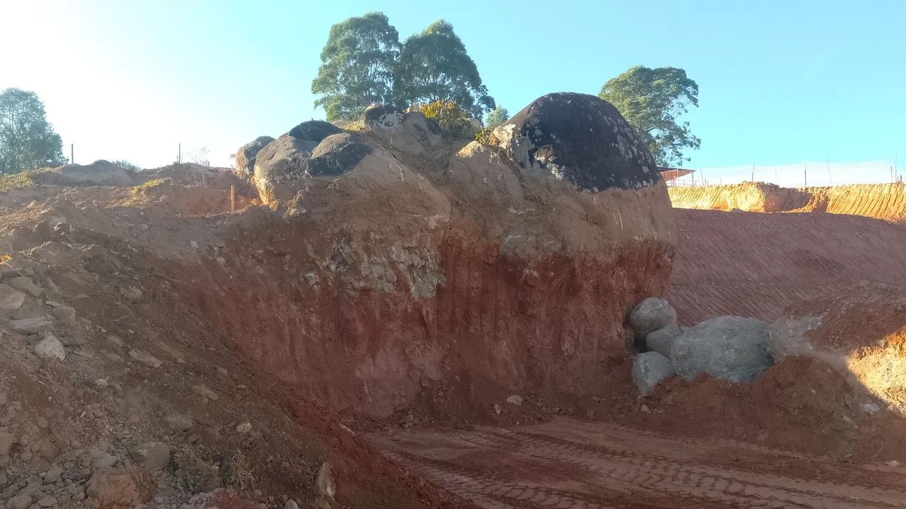 Quebra pedras  - Foto 3