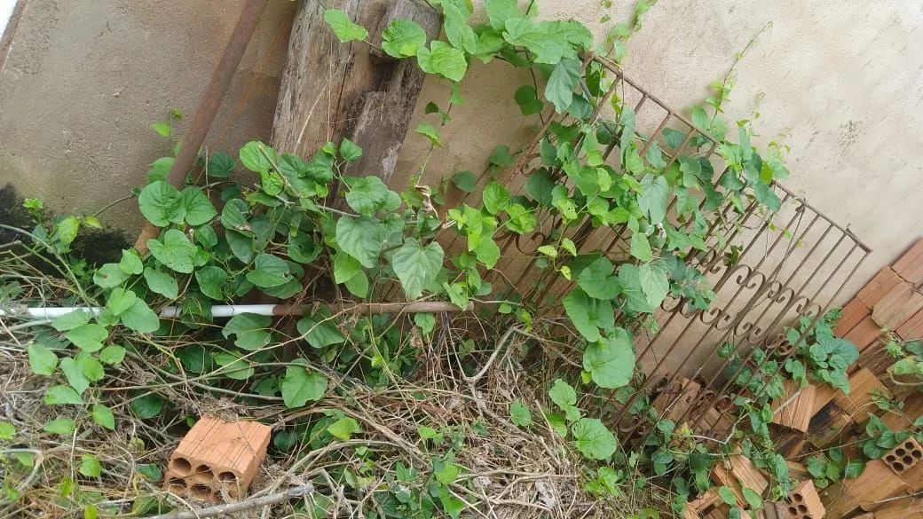 Desapego de Itens - Foto 2