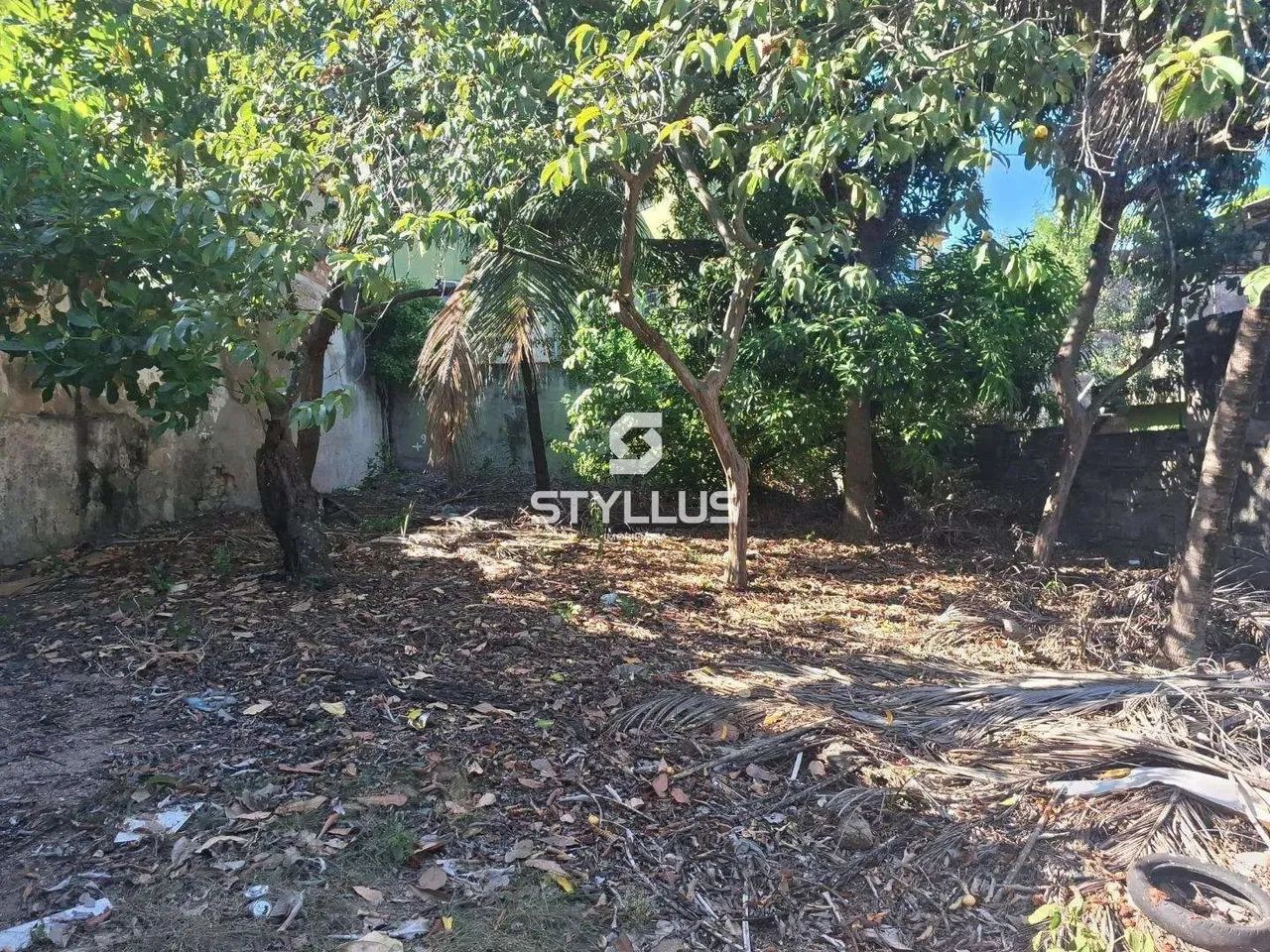 Maria da Graça | Terreno - Foto 14