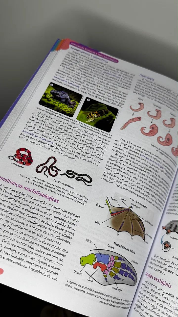LIVRO ENEM MÓDULO EXTRA - SAS - Foto 2