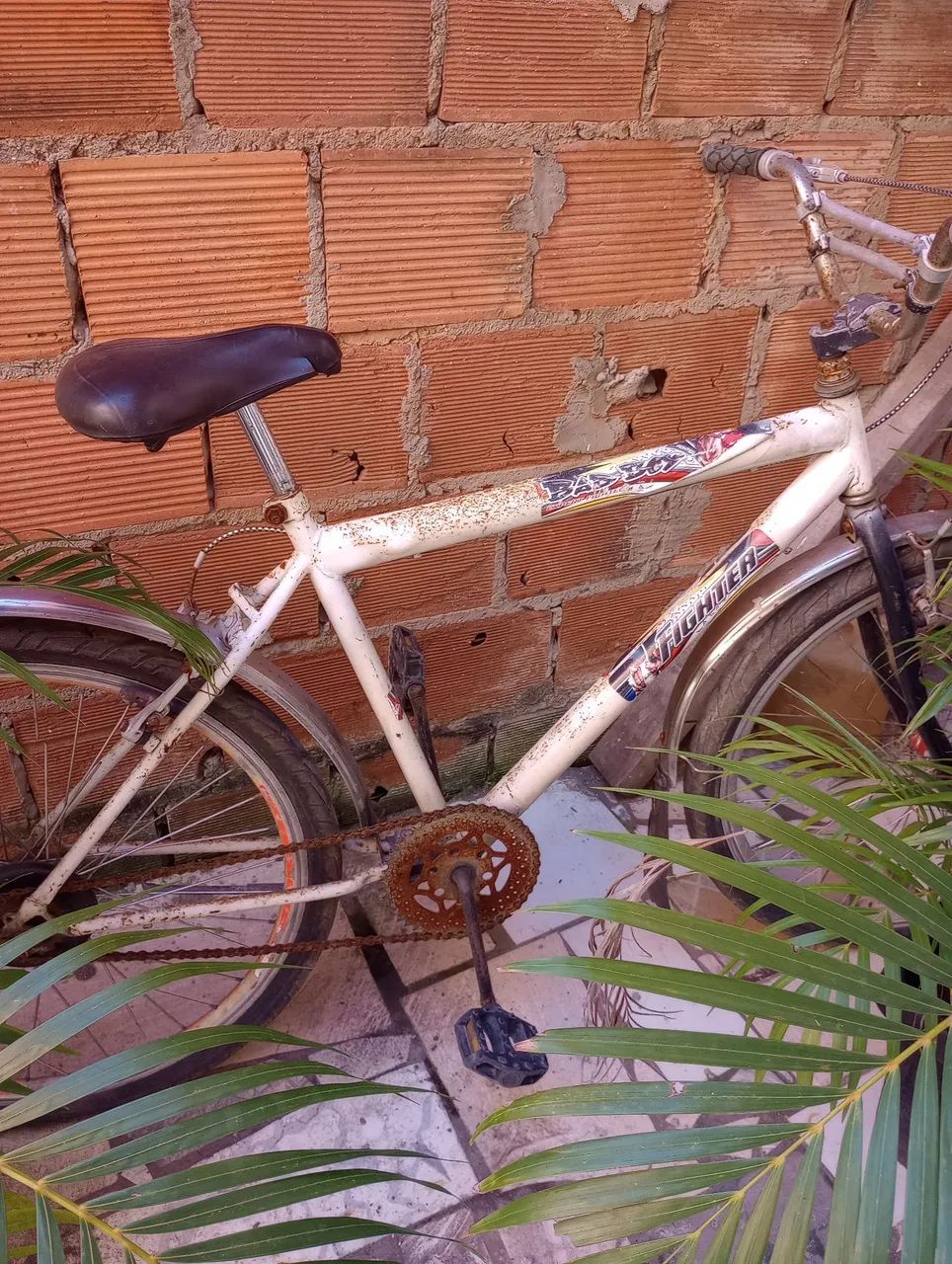 Vendo bicicleta 100  - Foto 2